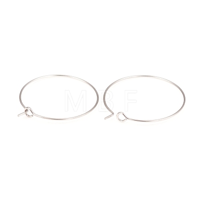 316L Surgical Stainless Steel Hoop Earring Findings STAS-G229-07P-03-1