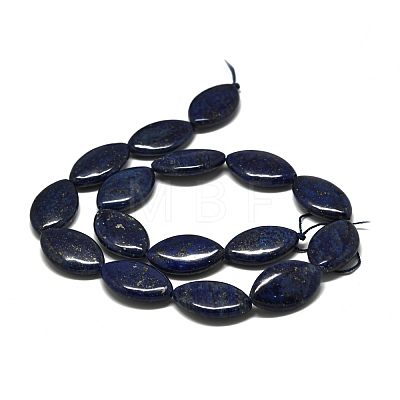 Natural Lapis Lazuli Beads Strands G-K311-08C-1