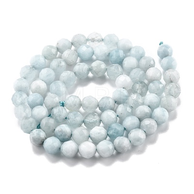 Natural Aquamarine Beads Strands G-H266-04-1