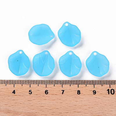 Transparent Frosted Acrylic Pendants MACR-S371-02A-755-1