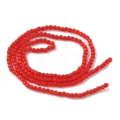 Cat Eye Beads Strands CE-C007-A05-2mm-1