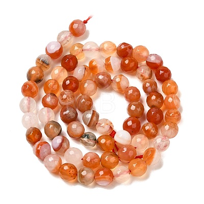 Natural Agate(Dyed & Heated) Beads Strands G-H066-B01-01-1