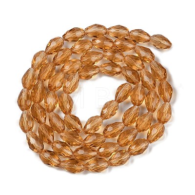Glass Beads Strands GLAA-R024-15x10mm-17-1