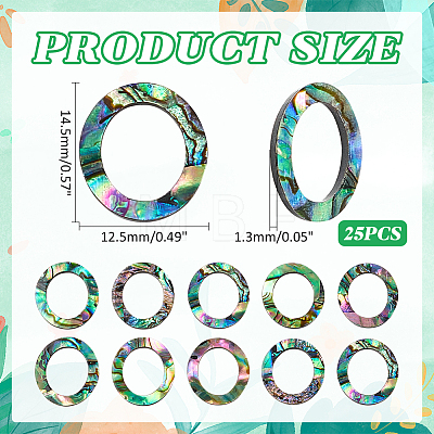 25Pcs Natural Abalone Shell/Paua Shell Cabochons SHEL-WR0001-01-1
