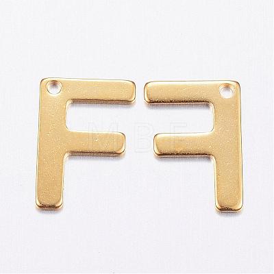 304 Stainless Steel Charms STAS-P141-F-1