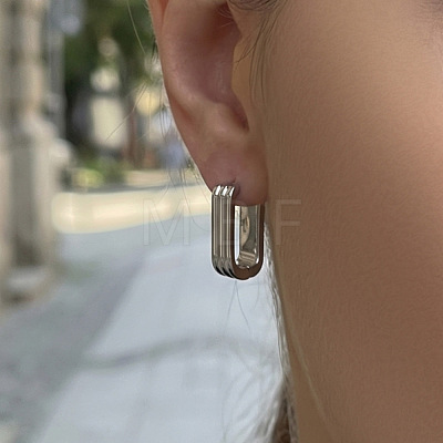 304 Stainless Steel Hoop Earrings EJEW-D358-01P-1