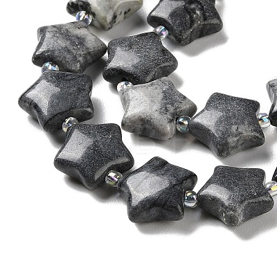 Natural Black Silk Stone/Netstone Beads Strands G-NH0005-009-1