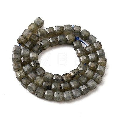 Natural Labradorite Beads Strands G-F797-A09-01-1