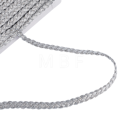 Braided Polyester Lace Ribbons SRIB-DR0001-03B-1