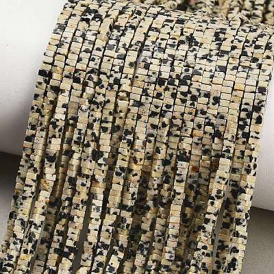 Natural Dalmatian Jasper Beads Strands GG-CBA2498-C09-01-1