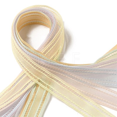 Polyester and Nylon Ribbon Sets DIY-Z029-01I-1