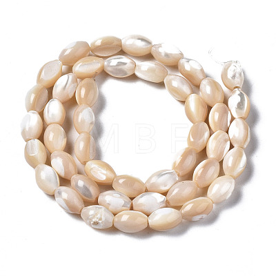 Natural Trochid Shell/Trochus Shell Beads Strands SSHEL-S266-021B-02-1