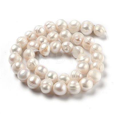 Natural Cultured Freshwater Pearl Beads Strands PEAR-L033-27-01-1