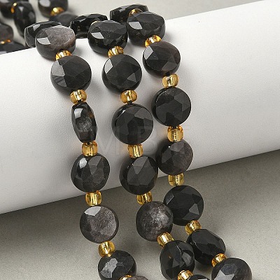 Natural Silver Sheen Obsidian Beads Strands G-G271-C08-10mm-1