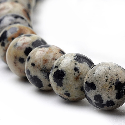 Natural Dalmatian Jasper Beads Strands G-S259-24-10mm-1