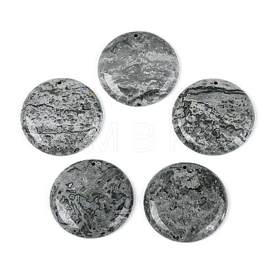 Natural Map Stone Pendants G-N361-04D-1