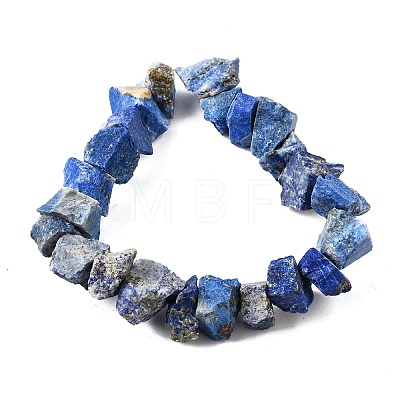 Natural Lapis Lazuli Beads Strands G-I283-F21-1