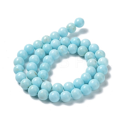 Natural Howlite Beads Strands G-E604-B02-B-1