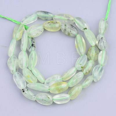 Natural Prehnite Beads Strands G-S359-168-1