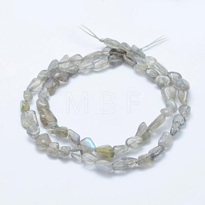 Natural Labradorite Beads Strands G-K203-12-1