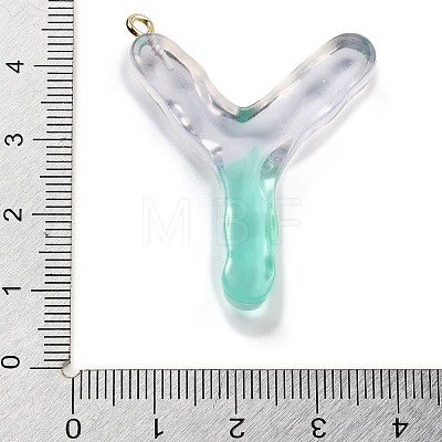 Resin Pendant FIND-Q107-01Y-03-1