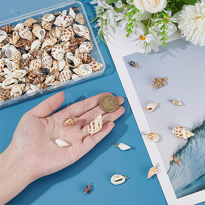 140Pcs 14 Styles Natural Mixed Shell Pendants PALLOY-ME00021-1