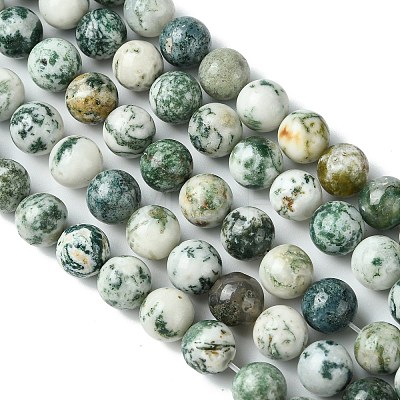 Natural Tree Agate Round Gemstone Beads Strands G-R255-10mm-1