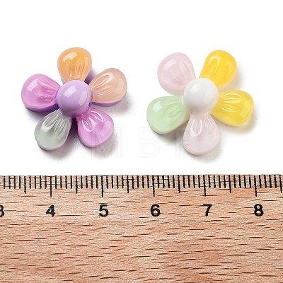 Translucent Resin Decoden Cabochons RESI-B027-02-1