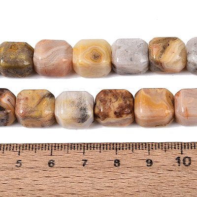Natural Crazy Agate Beads Strands G-Q608-10B-1