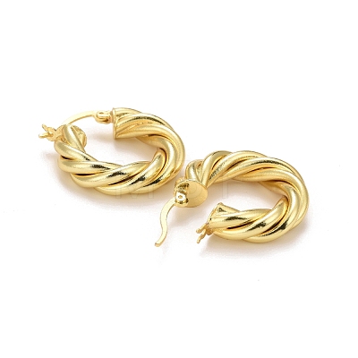 Rack Plating Brass Hoop Earrings EJEW-F278-10G-1