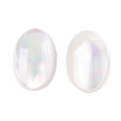 Natural White Shell Cabochons SSHEL-T017-06-1