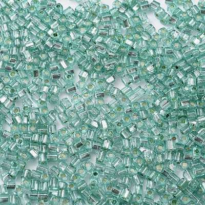 Glass Seed Beads SEED-M011-01A-13-1
