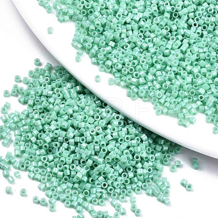FGB 11/0 Grade A Baking Paint Glass Seed Beads SEED-S030-1036-1