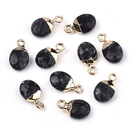 Natural Larvikite Charms G-N326-58A-1