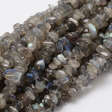 Natural Labradorite Chip Bead Strands L-G-M298-06-1