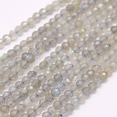 Natural Labradorite Beads Strands G-F509-03-4mm-1