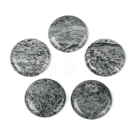 Natural Map Stone Pendants G-N361-04D-1