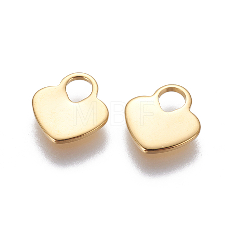 304 Stainless Steel Charms STAS-G190-37G-1