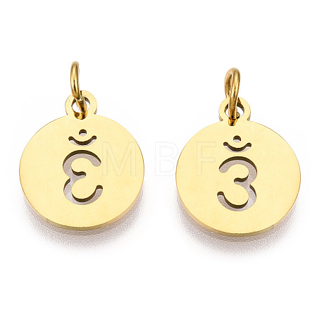 304 Stainless Steel Charms STAS-Q201-T446G-04-1