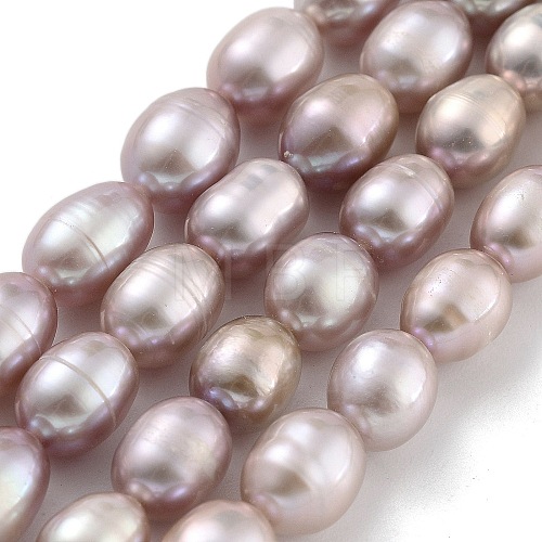 Natural Cultured Freshwater Pearl Beads Strands PEAR-P062-08J-1