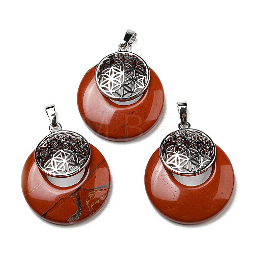 Natural Red Jasper Pendants KK-F751-M-A07-1