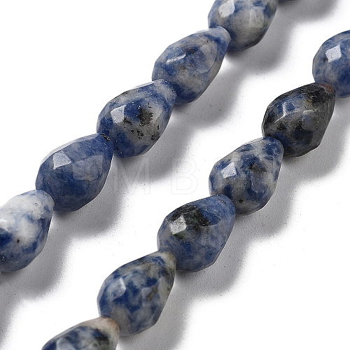 Natural Blue Spot Jasper Beads Strands G-P520-B21-01-1