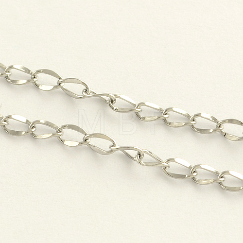 304 Stainless Steel Curb Chains CHS-T001-01-1