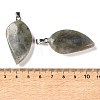 Natural Labradorite Pendants GG-CBACB71-05P-15-3
