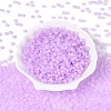 Transparent Glass Seed Beads SEED-Q041-01F-1