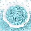 6/0 Transparent Inside Colours Glass Seed Round Beads SEED-N006-004B-2