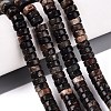 Natural Biotite Beads Strands G-N367-03A-13-1