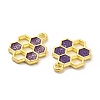 Alloy Enamel Pendants ENAM-J650-06G-05-3