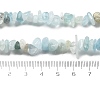 Natural Aquamarine Chip Beads Strands G-L154-19-5