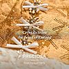 Preciosa® MAXIMA Crystal Round Stones Y-PRC-RBSS10-00030-270-5